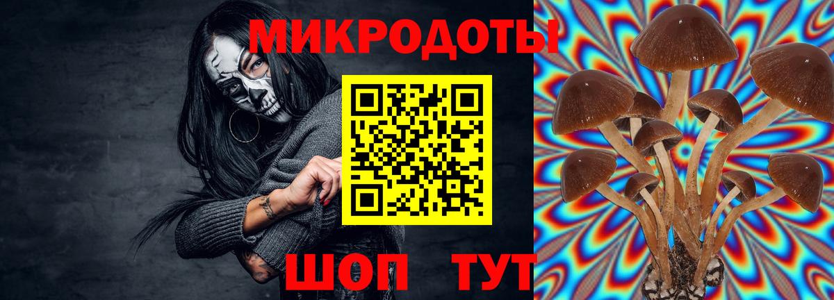 Большой Камень  Галлюциногенные грибы Magic Shrooms  Галлюциногенные грибы Cubensis  Вход с VPN 